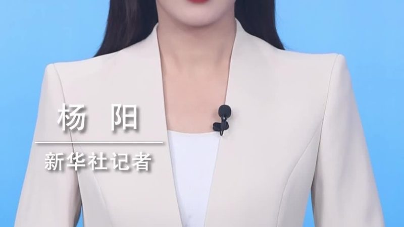 政府数据安全事件处理规范：关键步骤与应对策略